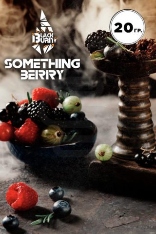 Black Burn Something Berry (Ягодный Микс)